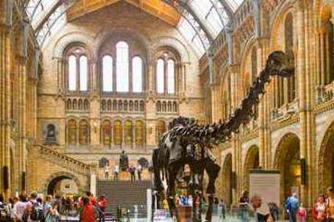 Explore London on New Year's Day