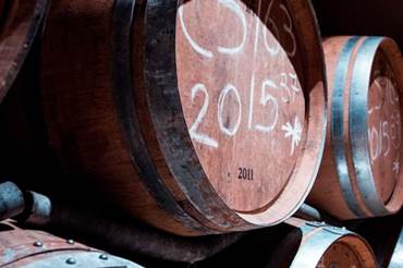 Fermenting and Wine Tasting