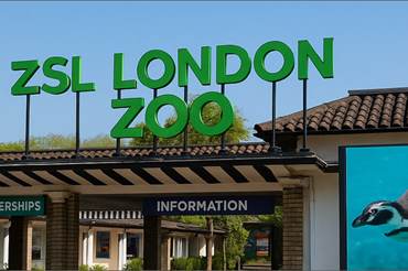 ZSL London Zoo