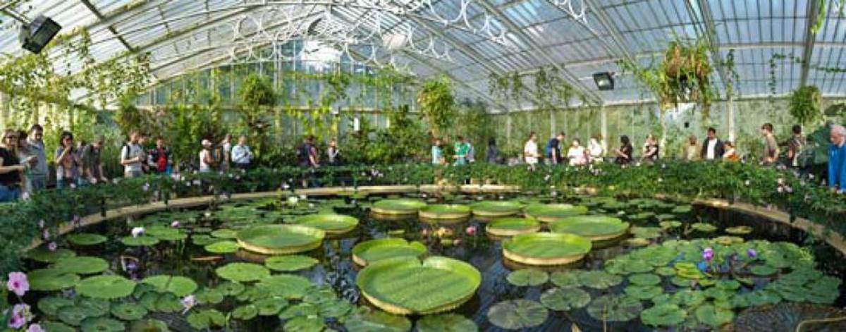 Kew Gardens | London Attraction Near Mercure Paddington