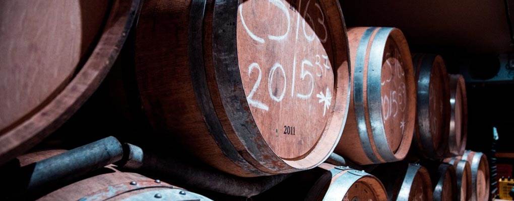 Fermenting and Wine Tasting