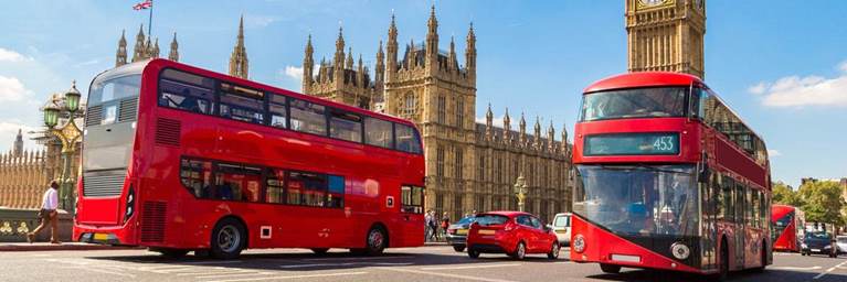 Bus Tour