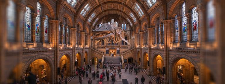 Explore London on New Year's Day